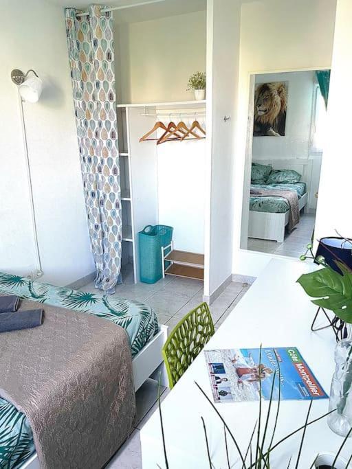 Appt Lumineux, Piscine, Wifi Apartamento Montpellier Exterior foto